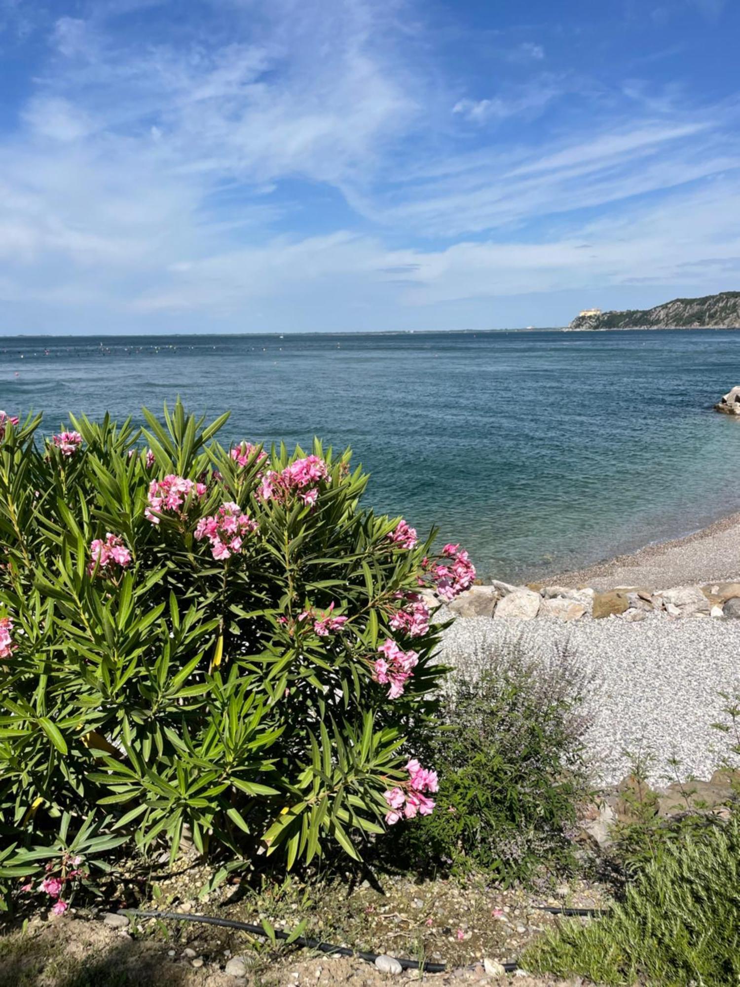 Portopiccolo Sul Mare - Sistiana Apartment Luaran gambar